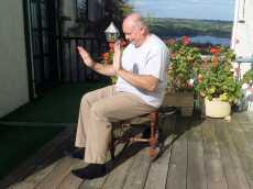 Exercise in a Chair